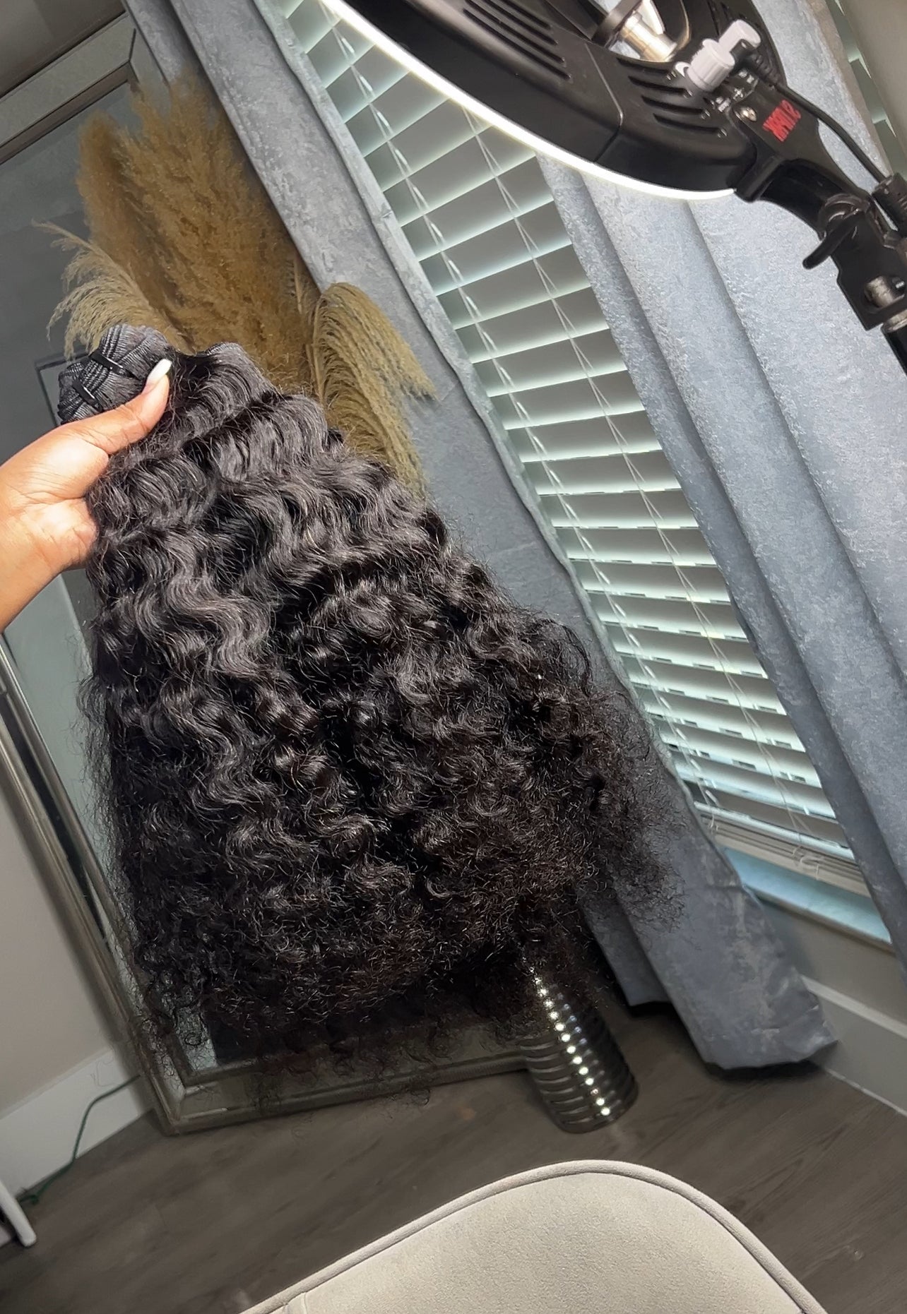 BOMB A** BUNDLE DEALS - BURMESE CURLY