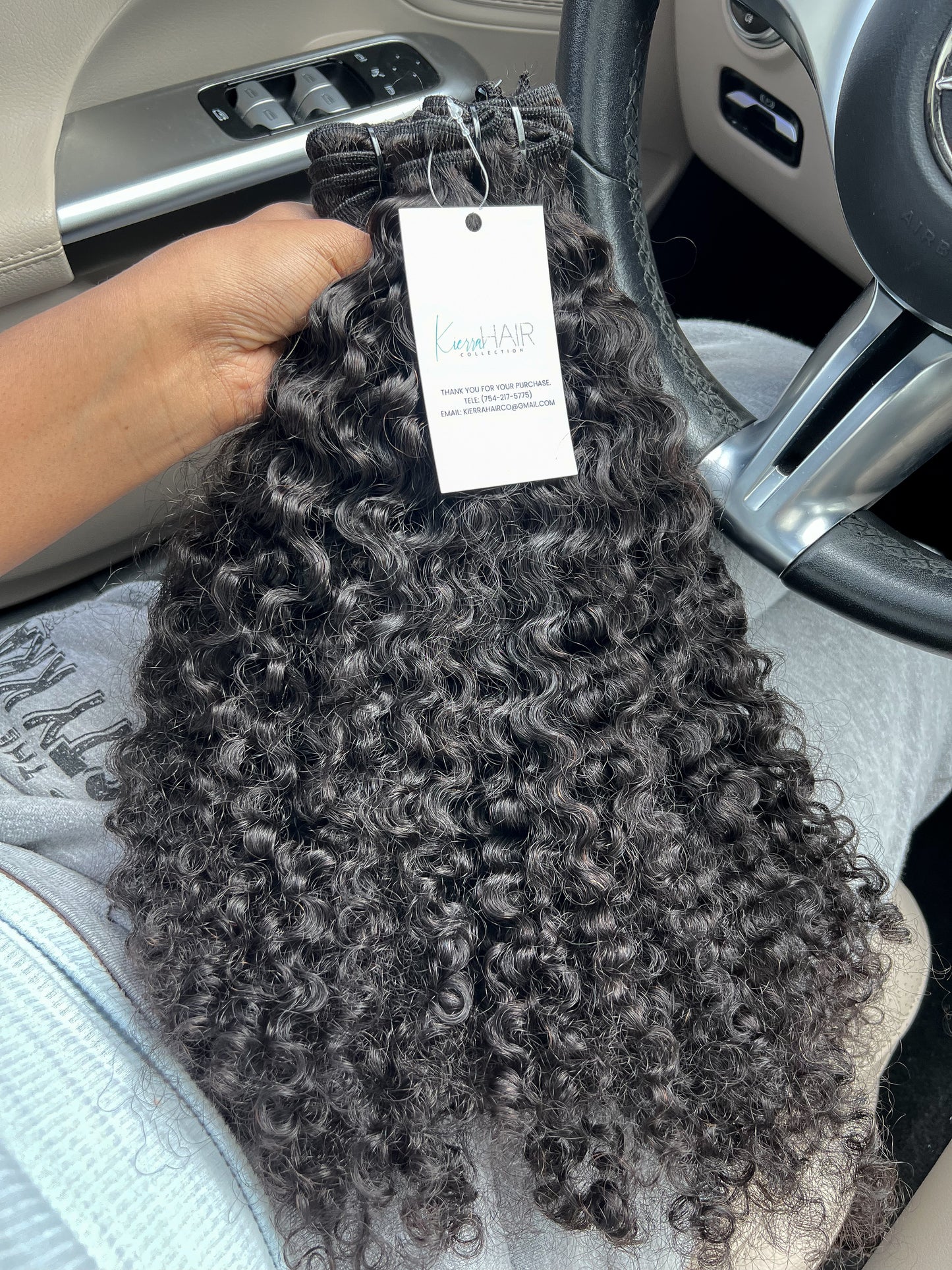 BUNDLE DEALS - BURMESE CURLY