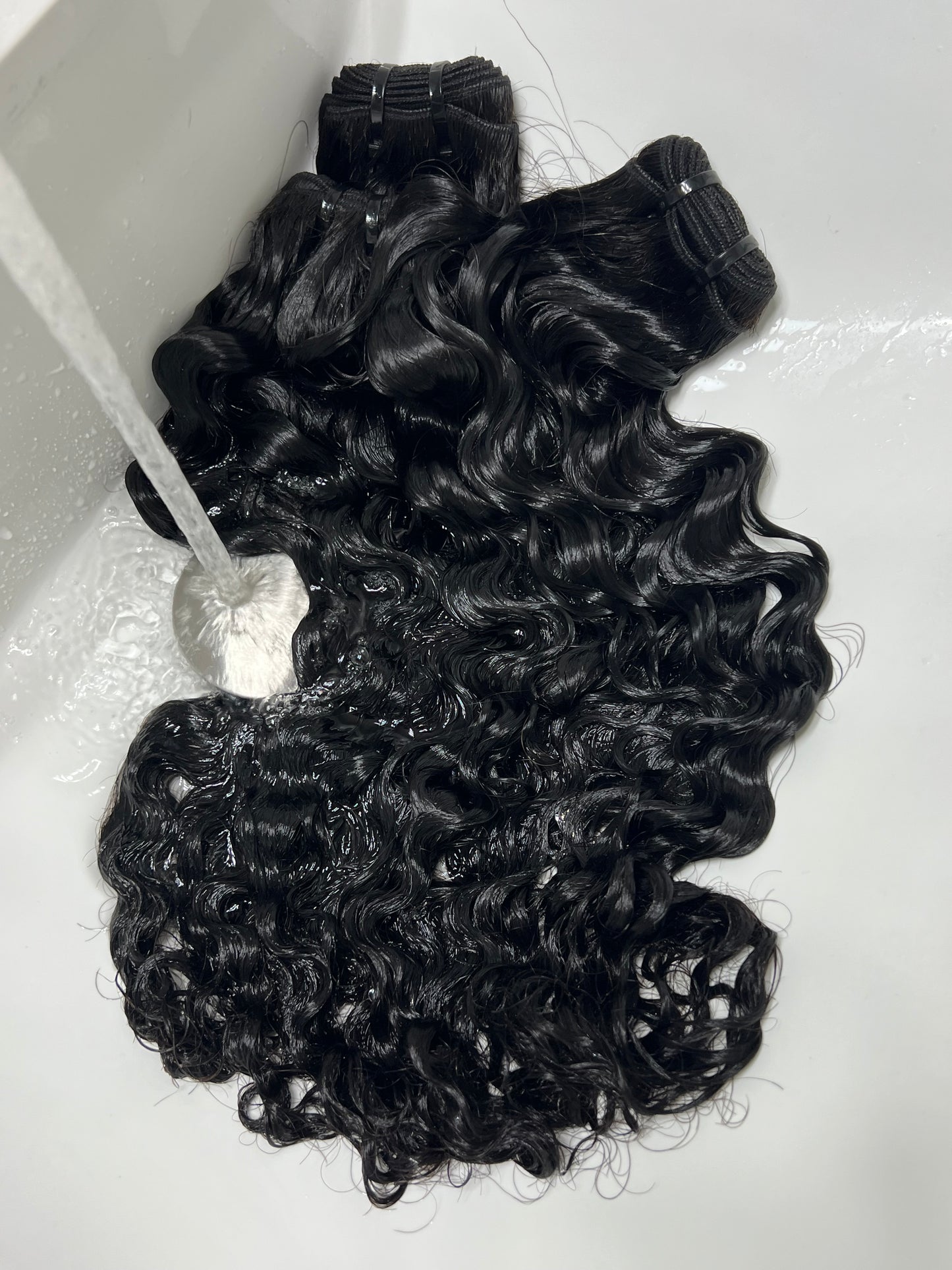 BOMB A** BUNDLE DEALS - BURMESE CURLY