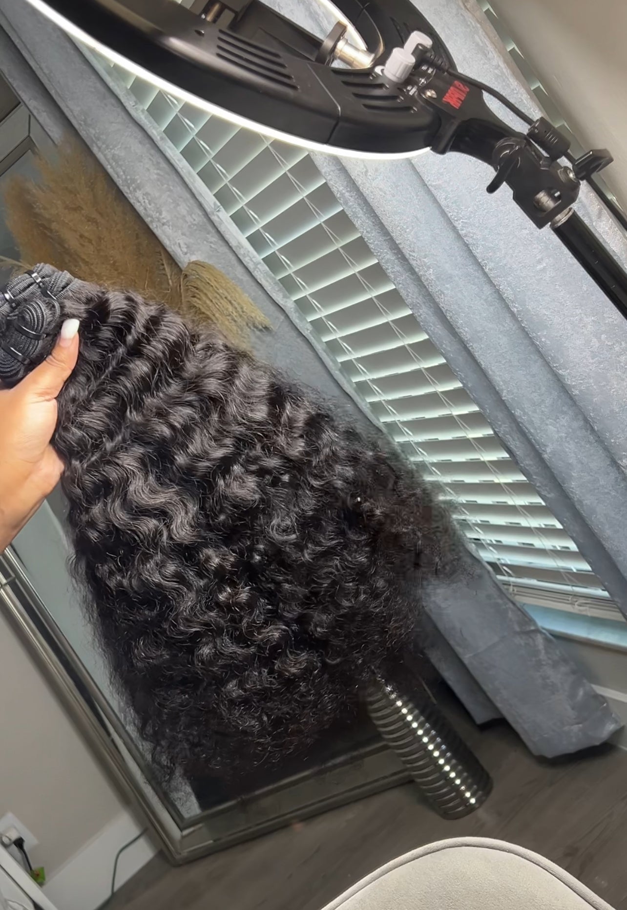 BOMB A** BUNDLE DEALS - BURMESE CURLY